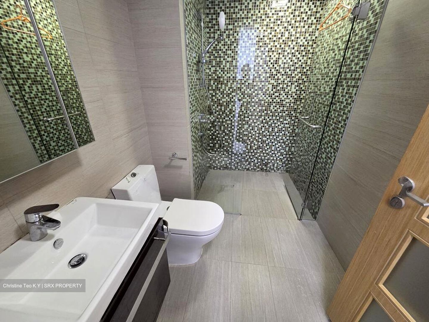 Sant Ritz (D13), Condominium #497525781